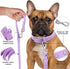 Waterproof Dog Leash: Standard Dog leashes with 2 Hooks for Walking, Adjustable Lengths for Traffic Control Safety, Durable and Odor Proof, for Me...