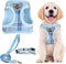 PUPTECK Adjustable Dog Harness Collar and Leash Set Step in No Pull Pet Harness for Small Medium Dogs Puppy and Cats Outdoor Walking Running, Soft...