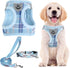 PUPTECK Adjustable Dog Harness Collar and Leash Set Step in No Pull Pet Harness for Small Medium Dogs Puppy and Cats Outdoor Walking Running, Soft...