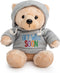Ganz 9" Get Well Soon Teddy Bear with Gray Hoodie - Feel Better Gift for Kids & Women (Tan Nose Stuffed Animal)...