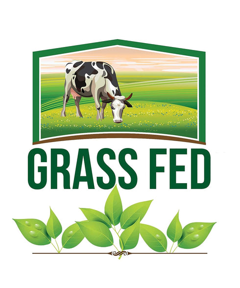 Organic Grassfed Real Butter Powder - Keto NON GMO rBST Hormone Free Paleo Low Carb Sugar Free Gluten Free - Healthy Fat Bomb - Great in Keto Coff...