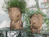 Face Planter Pots with Drainage Hole, Resin Head Planters for Indoor Plants Flower Plant Pots Succulent Pot, Cute Girl Face Planter Gifts for Love...