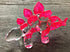 Garden Deco Glow in The Dark Pink Stegosaurus Hand Blown Art Glass Figurine Ornament Sculpture...