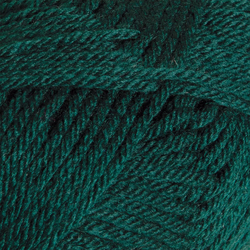 Knit Picks Brava Bulky Weight 100% Acrylic Yarn Skein - 100 g (Hunter)...