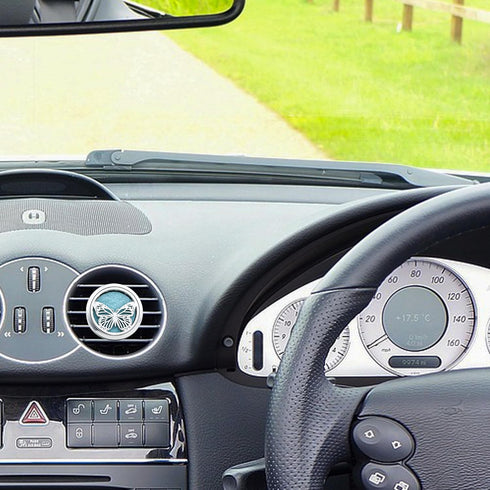 Car Diffuser Vent Clip 30mm Aromatherapy Essential Oil Automotive Diffuser Air Fresheners Vent Clips Car Accessories for Women Birthday Gifts (But...