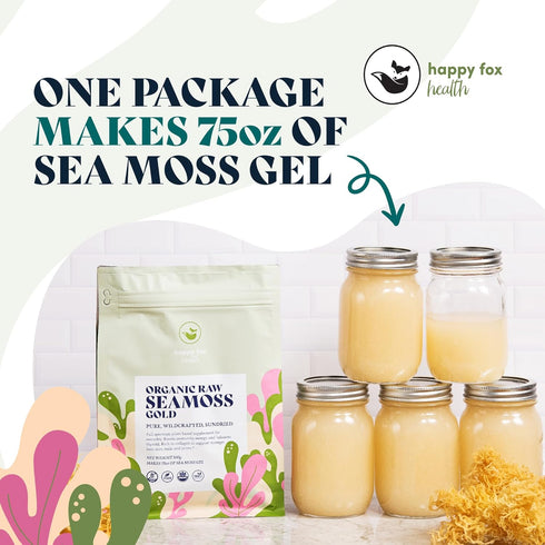 HAPPY FOX Organic Sea Moss Raw Gold - Makes 75oz of Seamoss Gel Rich in Vitamins & Minerals, Certified Non-GMO, Wildcrafted, Sundried Superfood - ...