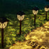 KAQ 2 Pack LED Solar Lights Outdoor Waterproof, Solar Garden Lights Auto On/Off, Outside Lights for Yard, Patio Decor, Landscape Lighting, Pathway...
