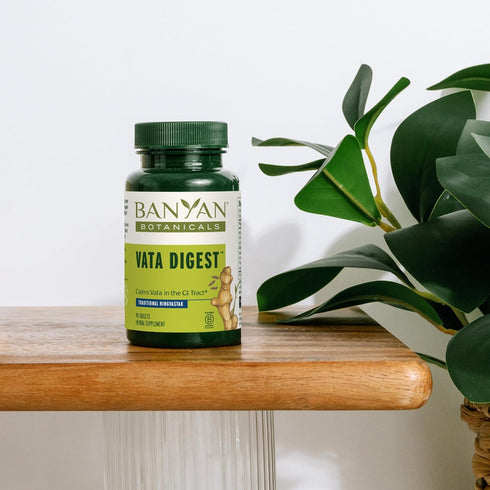 Banyan Botanicals Vata Digest – Organic Digestion Supplement – Warming & Balancing Digestion Aid to Support Comfortable Digestion* – 90 Tablets – ...