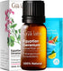 Gya Labs Egyptian Geranium Essential Oil for Diffuser - 0.34 Fl Oz - 100% Pure Natural Aromatherapy Geranium Oil for Skin, Hair Care, Massages & C...