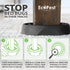 Bed Bug Interceptors – 4 Pack | Bed Bug Blocker (Pro) Interceptor Traps | Insect Trap, Monitor, and Detector for Bed Legs (Black)...