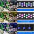 AQUANEAT LED Aquarium Light for 12 to 16 Inch Fish Tank, Auto On Off with Timer, Full Spectrum, Adjustable Brightness, Daylight Moonlight Mode, fo...
