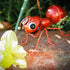 Trademark Innovations Metal Yard Art Outdoor Garden Patio Flower Pot Decor (Set of 4 Ants)...