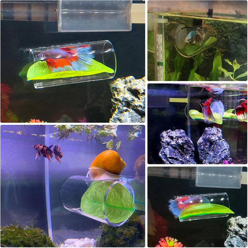 1 Pack Betta Fish Acrylic Tube Tunnel,Betta Fish Leaf Pad Simulating The Natural Habitat for Betta Spawning Grounds Breeding Resting Bed?Betta Toy...