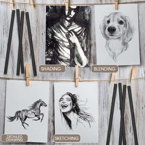 Gueevin 100 Pieces Willow Charcoal Sticks, Willow Charcoal, Soft Black Drawing Charcoal for Sketching and Drawing Art Sketch Artists Supplies, 5.7...