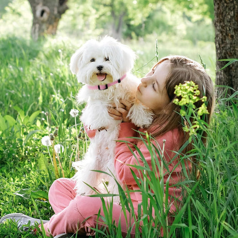 Pink Dog Collar and Leash Set for Medium Dogs Soft and Breathable of 90% Rayon from Bamboo and 10% Polyester Comfortable Skin-Friendly, Adjustable...