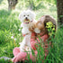 Pink Dog Collar and Leash Set for Medium Dogs Soft and Breathable of 90% Rayon from Bamboo and 10% Polyester Comfortable Skin-Friendly, Adjustable...