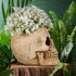 GANAZONO Skull Planter Resin Skull Shaped Flower Pot Modern Resin Skull Shaped Succulent Planter Pots Halloween Decoration...