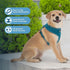 AeroLite No Pull Mesh Dog Harness with Lightweight, Soft, Breathable Chest Coverage, Reflective Stitching, and Adjustable Straps for Walking, Runn...