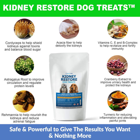 Kidney Restore Bacon Dog Treats 8oz for Petite Dogs. Low Protein Dog Treats for Kidney Support for Small Dogs. Renal Treats for Any Kidney Dog Die...