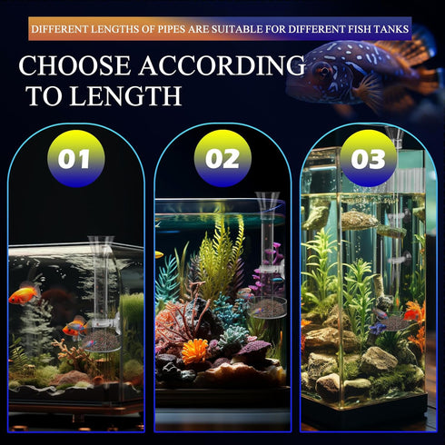 Shrimp Feeding Dish Set with Aquarium Plant Holder, 7 Hole Acrylic Transparent Aquarium Planter Holder, Clear Durable Fish Shrimp Feeding Tube Kit...