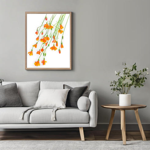 Posterizer 1 pcs-delicate and vibrant botanical drawing style flowers 2-Floral & Botanical Art-Gift for Men Women Teens-Chic Home Decor- unframed ...