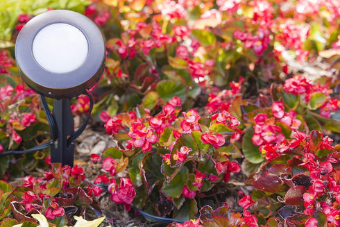 ENBRIGHTEN Mega Stake, LED Landscape Light Management, 14” Tall, Durable, 54483, Black...
