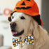 2023 NEW Halloween Holiday Collar for Boys and Girls Small Medium Large dog Pets Puppies Halloween Dog Collar with Bow Tie (Animal Print, Large-(1...