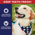Pet Factory American Beefhide 5" Munch Mini Rolls Dog Chew Treats - Natural Flavor, 40 Count/1 Pack...