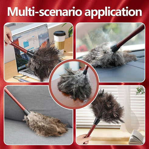 Ostrich Feather Duster (Set of 2), 14-Inch, Indulge in Effortless Elegance with Premium Reusable Design for Thorough, Eco-Friendly Cleaning at Hom...