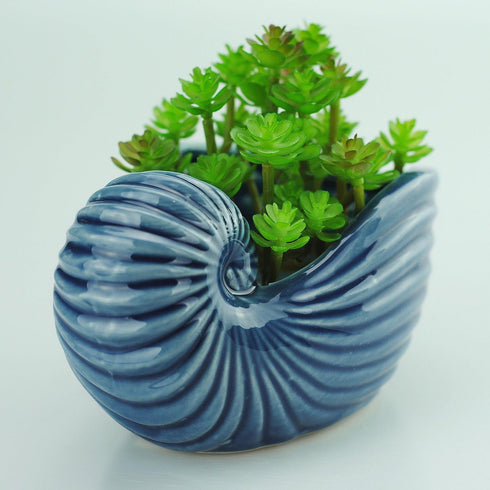VanEnjoy 5" Ceramic Succulent Pot, Cute Ocean Blue Seashell Series, Conch Shaped Cactus Pot Planter, Flower Pot, Pottery Bonsai Pot, Cute Shell So...