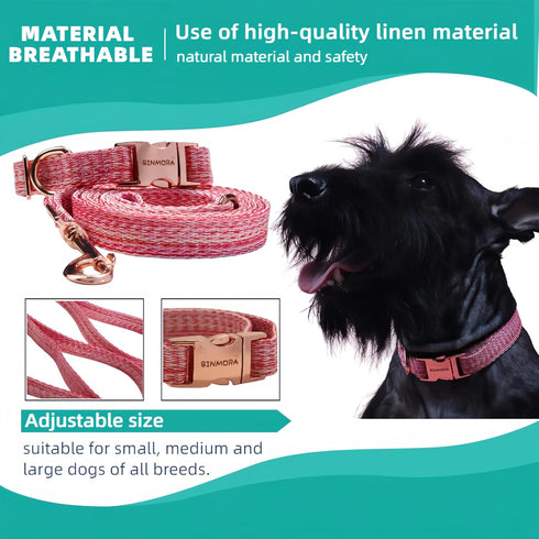 Adjustable Breathable Dog Collar and Leash Set for Puppies, Small, and Medium-Sized Dogs - Lightweight, Durable, and Comfortable - Ideal for Summe...