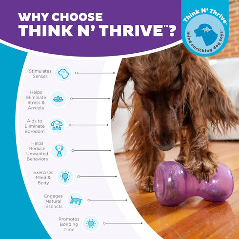 Outward Hound Double Snoop Interactive Treat Stuffer Durable Dog Toy, Dog Treat Toy, Purple...