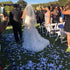 1000 Pcs Artificial Silk Rose Petals Decoration Wedding Party Color White...