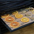 Excalibur ParaFlexx Reusable Non-Stick Drying Sheets for Food Dehydrators 11-Inch, Set of 4, Brown...
