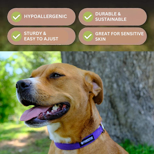 Pawsitive Hemp Dog Collar - Green Dog Collar - We Donate a Collar for Every Collar Sold. Help a shelter in Need! Solid Color Adjustable Collar Gre...