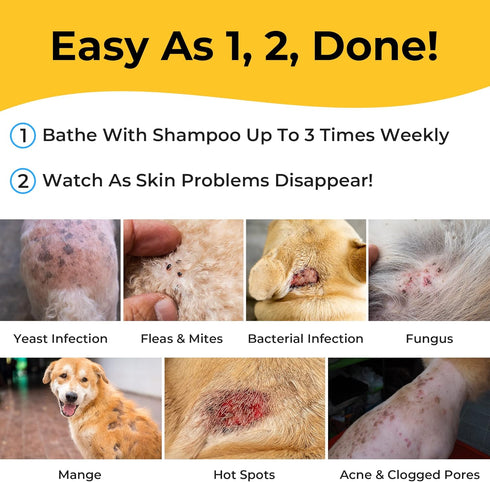 Smiling Paws Pets - Itch Relief Shampoo for Pets - Contains Benzoyl Peroxide - Kills Fleas - Relieves Allergies, Itching, Dermatitis, Mange, Dandr...