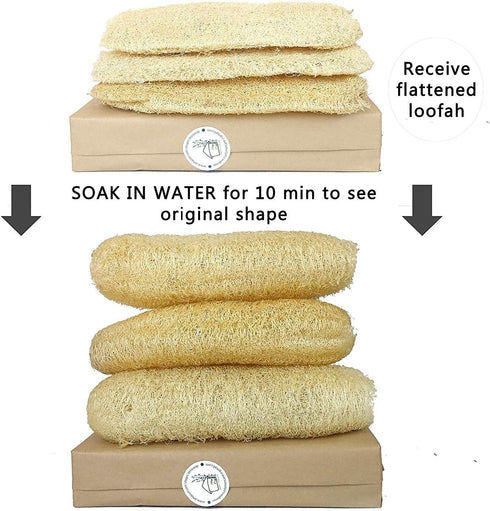 Natural Whole Loofah 3 PCS Exfoliating Body Scrubber Dead Skin Remover Bath Sponge Shower Zero Waste...