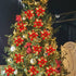 Sawowkuya 15 Pcs Red Gold Poinsettia Artificial Flowers Glitter Artificial Christmas Flowers Decorations with Clips for Xmas Tree Ornaments Weddin...
