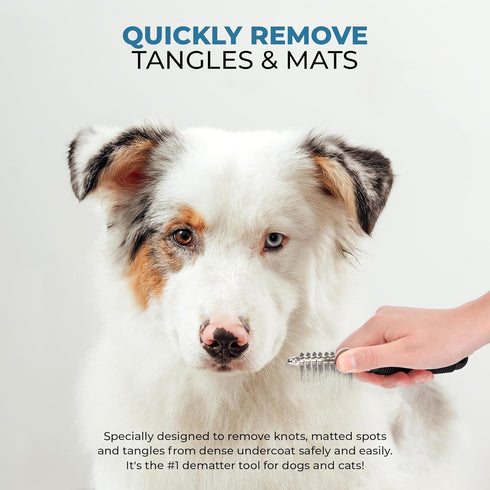 Poodle Pet Dematting Fur Rake Comb Brush Tool - Dog and Cat Comb with Long 2.5 Inches Steel Safety Blades for Detangling Matted or Knotted Underco...