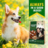 Dog Calcium Bones Wrapped Chicken & Rawhide Free Chew Treats - Pet Healthy Dried Snacks & Grain Free Meat - Bulk Best Chews for Christmas, Trainin...