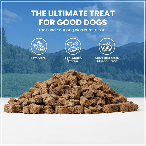 Muenster Freeze Dried Dog Food Topper Bites (5oz) - Farmhaus Elk Freeze Dried Raw Dog Food w/Organic Minerals - Elk & Organ Meats Meal Toppers for...