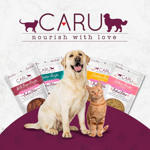 CARU - Soft 'n Tasty Baked Bites - Salmon Bites Dog Treats - Flavorful Training Treats - 4 oz...