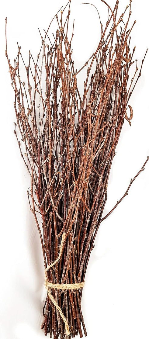 50 pcs Birch Branches for Vases, Decoration for Sale. Natural Birch Twigs for centerpieces. Floral Stick....