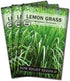 Sow Right Seeds - Lemon Grass Seed for Planting - Non-GMO Heirloom Packet with Instructions for Easy Planting and Growing an Herb Garden - Indoor ...