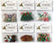 Buttons Galore 60+ Assorted Christmas Buttons for Sewing & Crafts - Set of 6 Button Packs - Gingerbread, Presents, Chirstmas Trees & More...