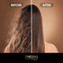 CHEONGDAM STYLE FOREST DAILY MOISTURE TREATMENT Hydrate Dry Hair Damage Repair Korean Deep Conditioning Hair Mask Deep Conditioner for Silky Hair ...