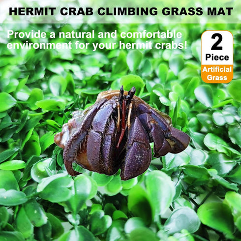 2 PCS Hermit Crab Climbing Toys Faux Grass Mat 10 x 10 Inch Fake Turf Hermit Crab Climbing Wall Square Plastic Aquarium Plants Lawn Hermit Crab Su...
