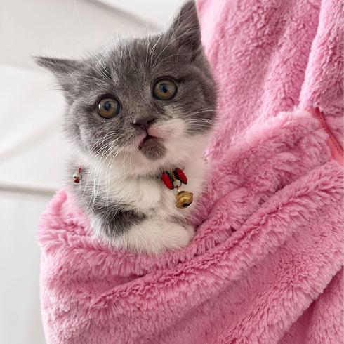 Cat Sling Carrier,Dog Carrying Bag,Small Pet Sing Carrier Chest,Cat Sling Accompany Carrier Bag Hands Free,Soft and Breathable Shoulder Back Indoo...