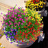6 Bundles Outdoor Artificial Flowers UV Resistant Fake Boxwood Plants, Faux Plastic Greenery for Indoor Outside Hanging Plants Garden Porch Window...