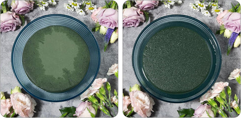 Crafare 6x3x2.5 Inch Wet Floral Foam Blocks Rectangle Small Size Foam Bricks for Fresh Artificial Flower Arrangements Wedding Centerpiece Party Ho...